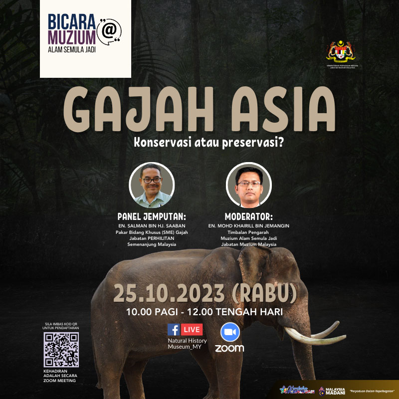 Bicara@Muzium: Gajah Asia Konservasi Atau Preservasi