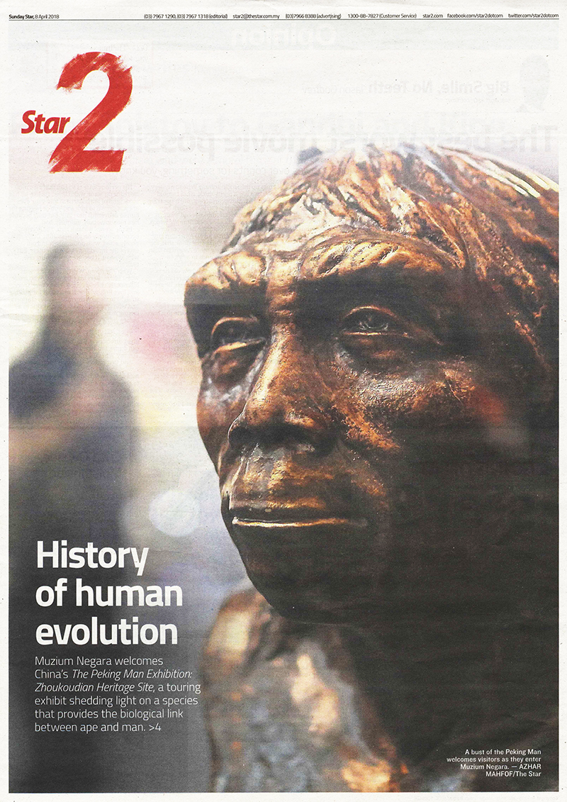 History of Human Evolution