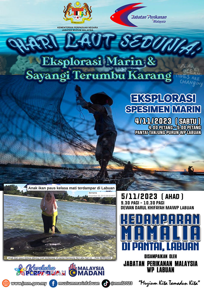 Hari Laut Sedunia: Eksplorasi Marin & Sayangi Terumbu Karang