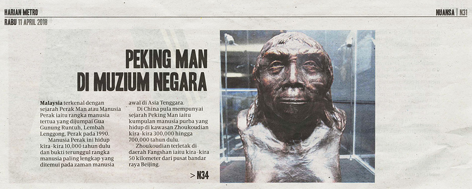 Peking Man di Muzium Negara