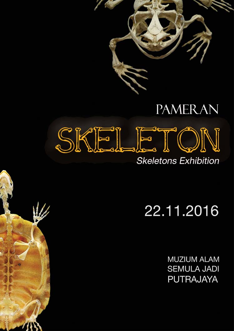 Skeleton Exhibitions at Natural History Museum, Putrajaya