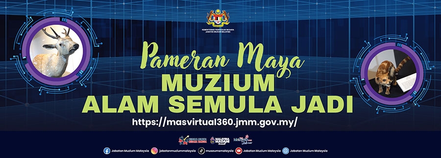 Explore the Virtual Exhibition of the Natural History Museum