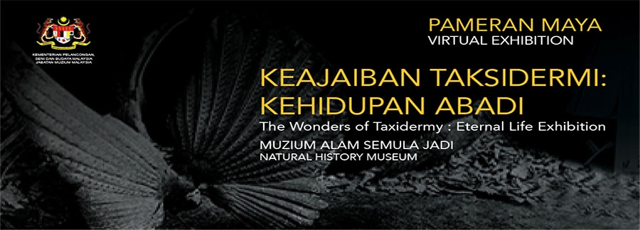 Pameran Maya Keajaiban Taksidermi: Kehidupan Abadi