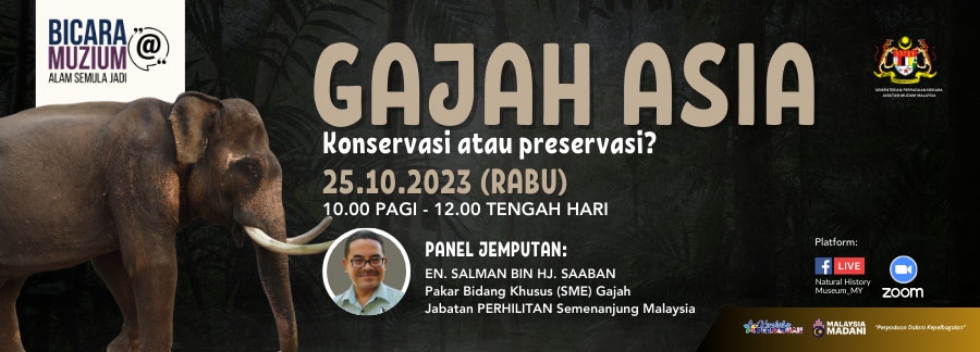 Bicara@Muzium: Gajah Asia Konservasi Atau Preservasi